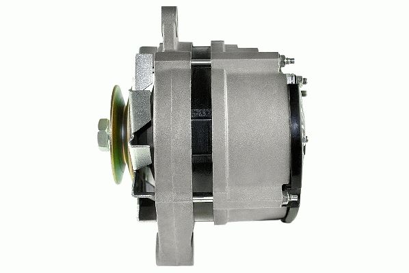 Alternator (RF31941G)