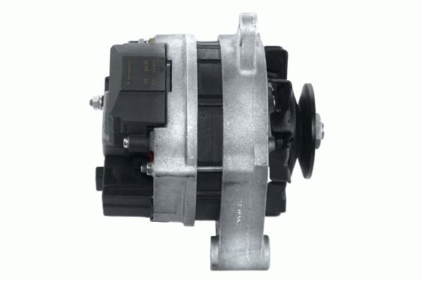 Alternator (RF31981G)
