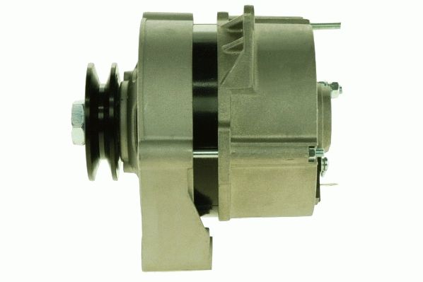 Alternator (RF31931G)