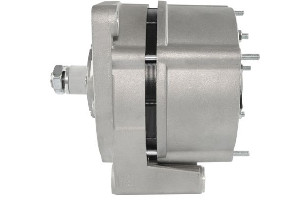 Alternator (RF30190G)