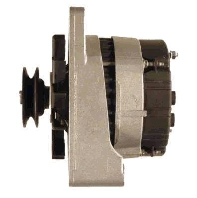 Alternator (RF36891G)