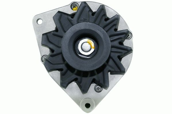 Alternator (RF30500G)