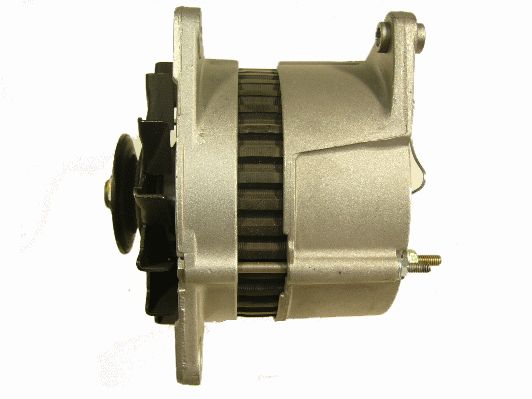 Alternator (RF30790G)