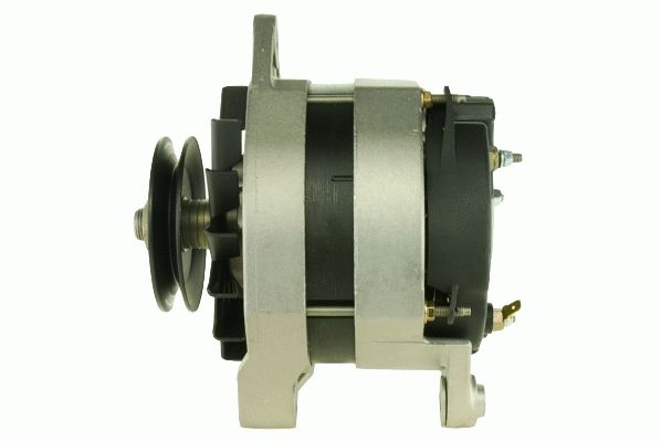 Alternator (RF34861G)