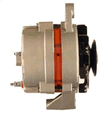 Alternator (RF30930G)