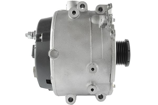 Alternator (RF48980G)