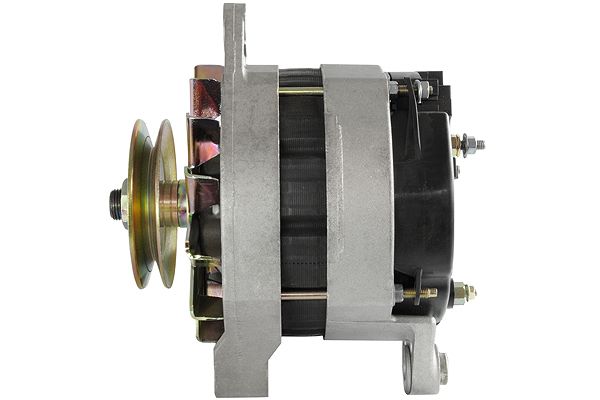 Alternator (RF42061G)