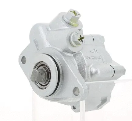 Hydraulic Pump, steering (130734)