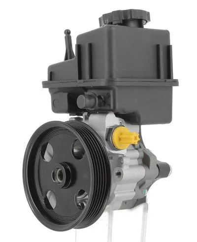 Hydraulic Pump, steering (135479)