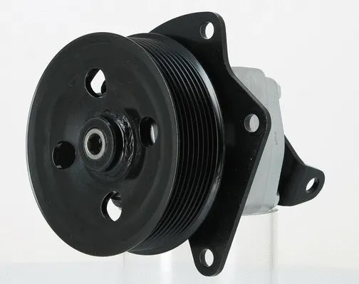 Hydraulic Pump, steering (135478)