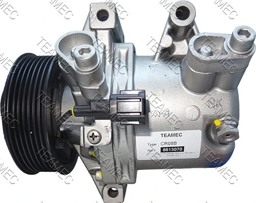 Compressor, air conditioning (8613070)