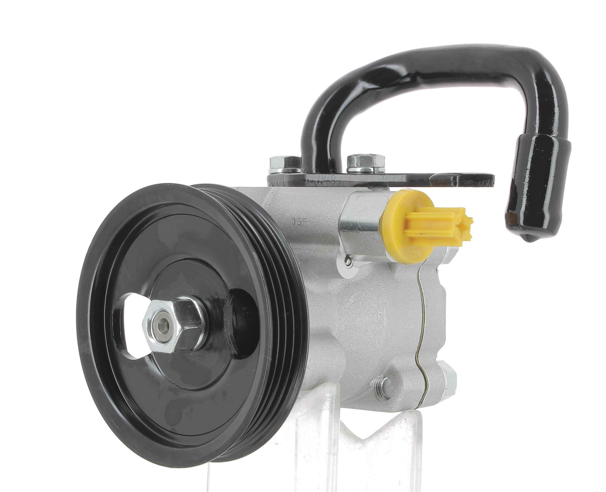 Hydraulic Pump, steering (135307)