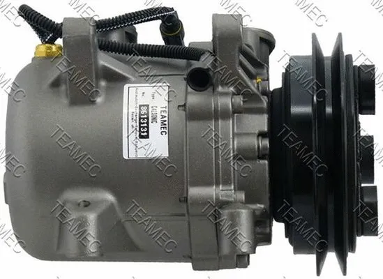 Compressor, air conditioning (8613131)