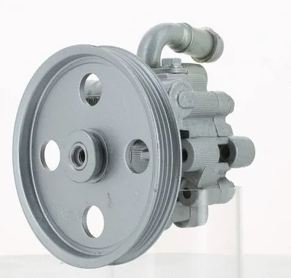 Hydraulic Pump, steering (131491)