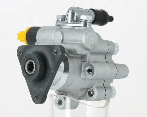Hydraulic Pump, steering (135483)
