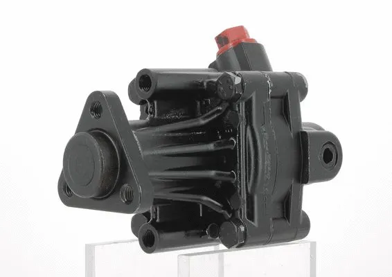 Hydraulic Pump, steering (130606)