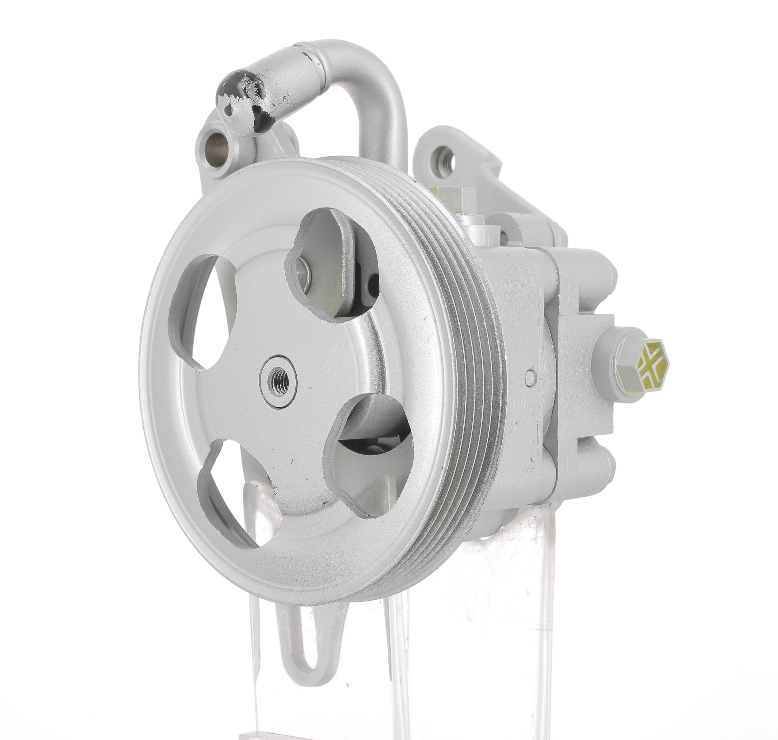 Hydraulic Pump, steering (131367)