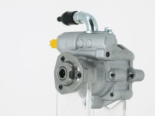 Hydraulic Pump, steering (135353)
