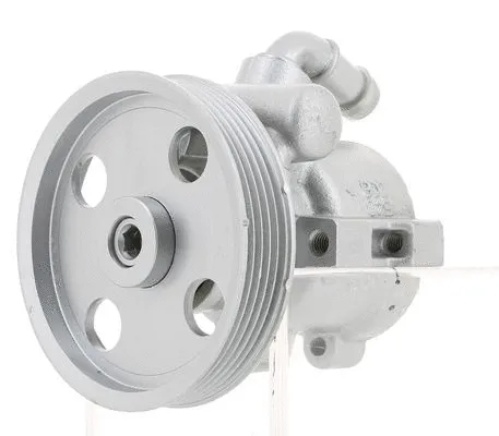 Hydraulic Pump, steering (130372)