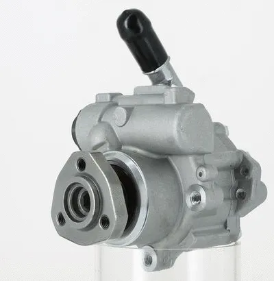 Hydraulic Pump, steering (130490)