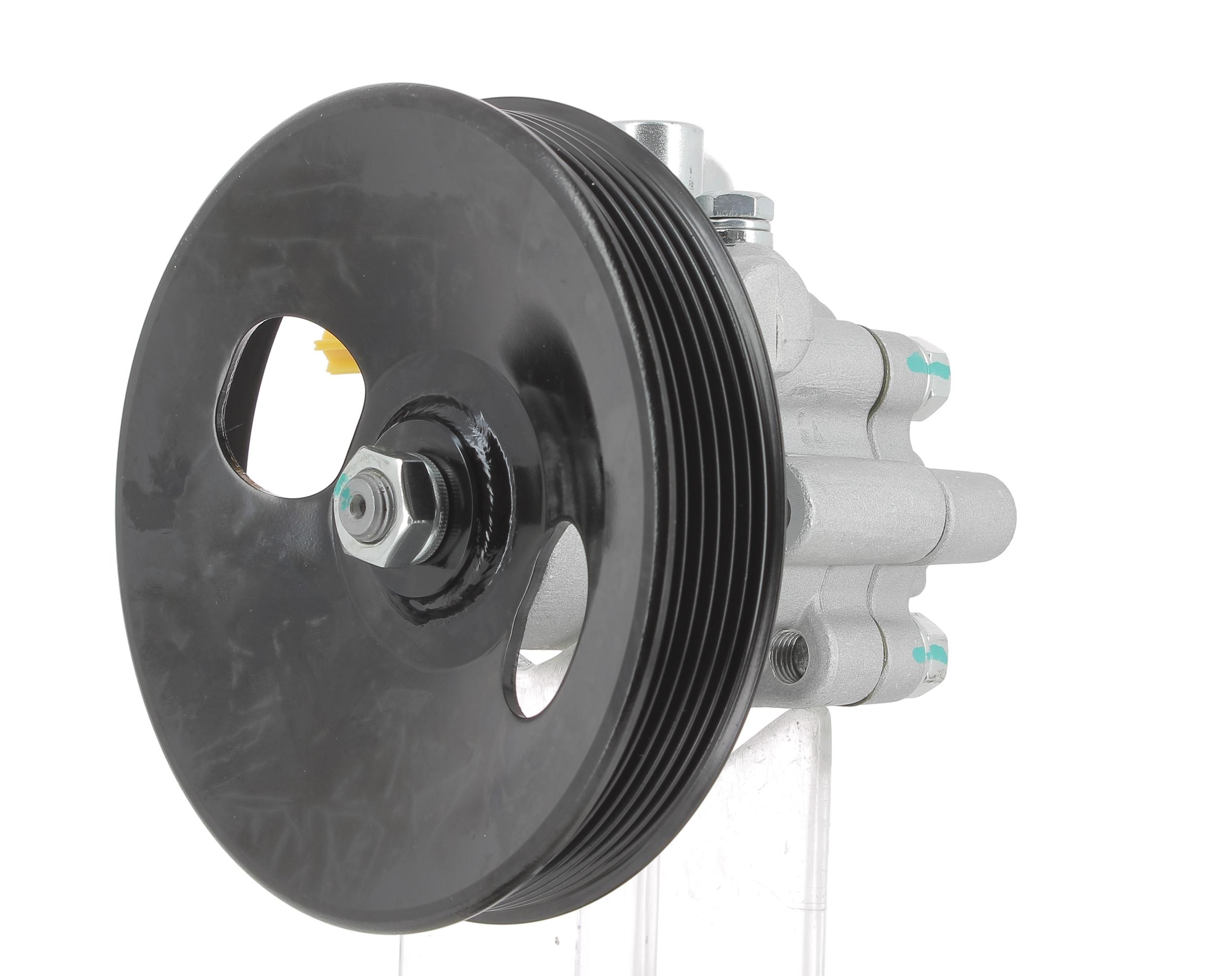 Hydraulic Pump, steering (131198)