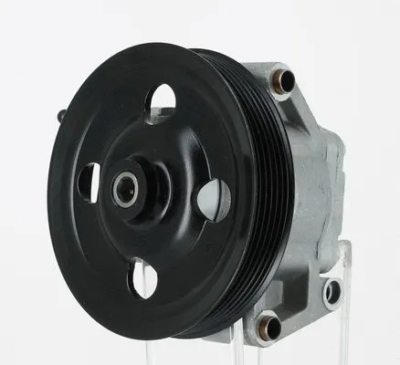 Hydraulic Pump, steering (135367)
