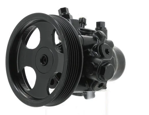 Hydraulic Pump, steering (130329)