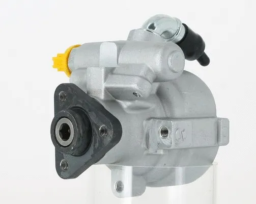Hydraulic Pump, steering (135464)