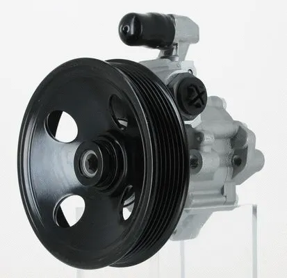 Hydraulic Pump, steering (130981)