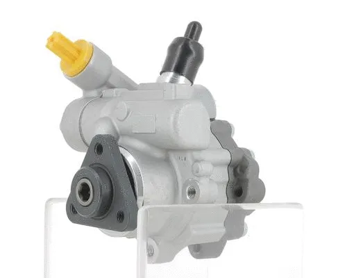 Hydraulic Pump, steering (135300)