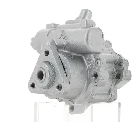 Hydraulic Pump, steering (130076)