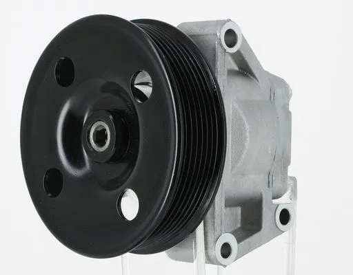 Hydraulic Pump, steering (135492)