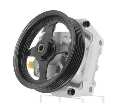 Hydraulic Pump, steering (130085)