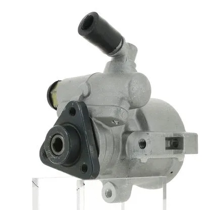 Hydraulic Pump, steering (130123)