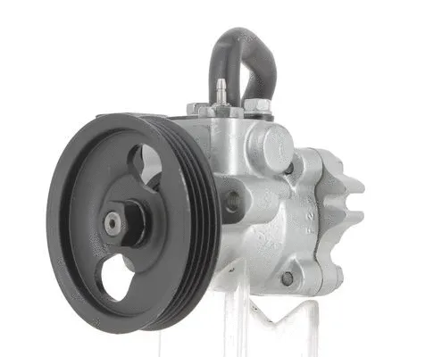 Hydraulic Pump, steering (131679)