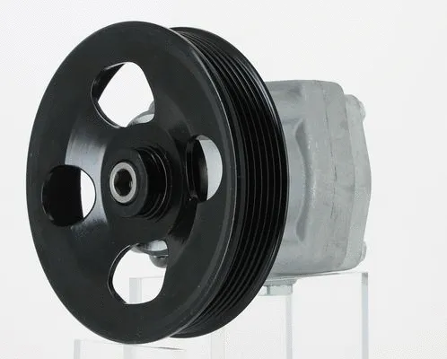 Hydraulic Pump, steering (130053)