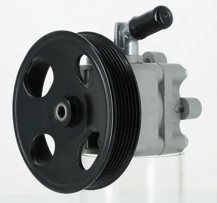 Hydraulic Pump, steering (130866)