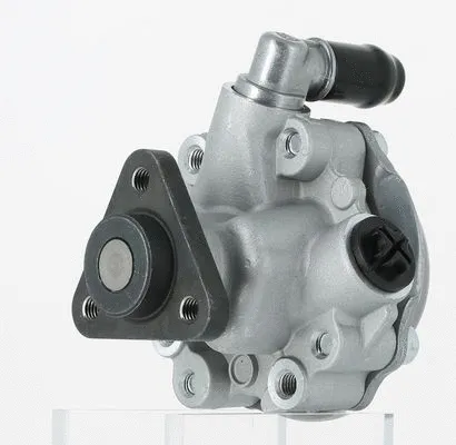 Hydraulic Pump, steering (131610)