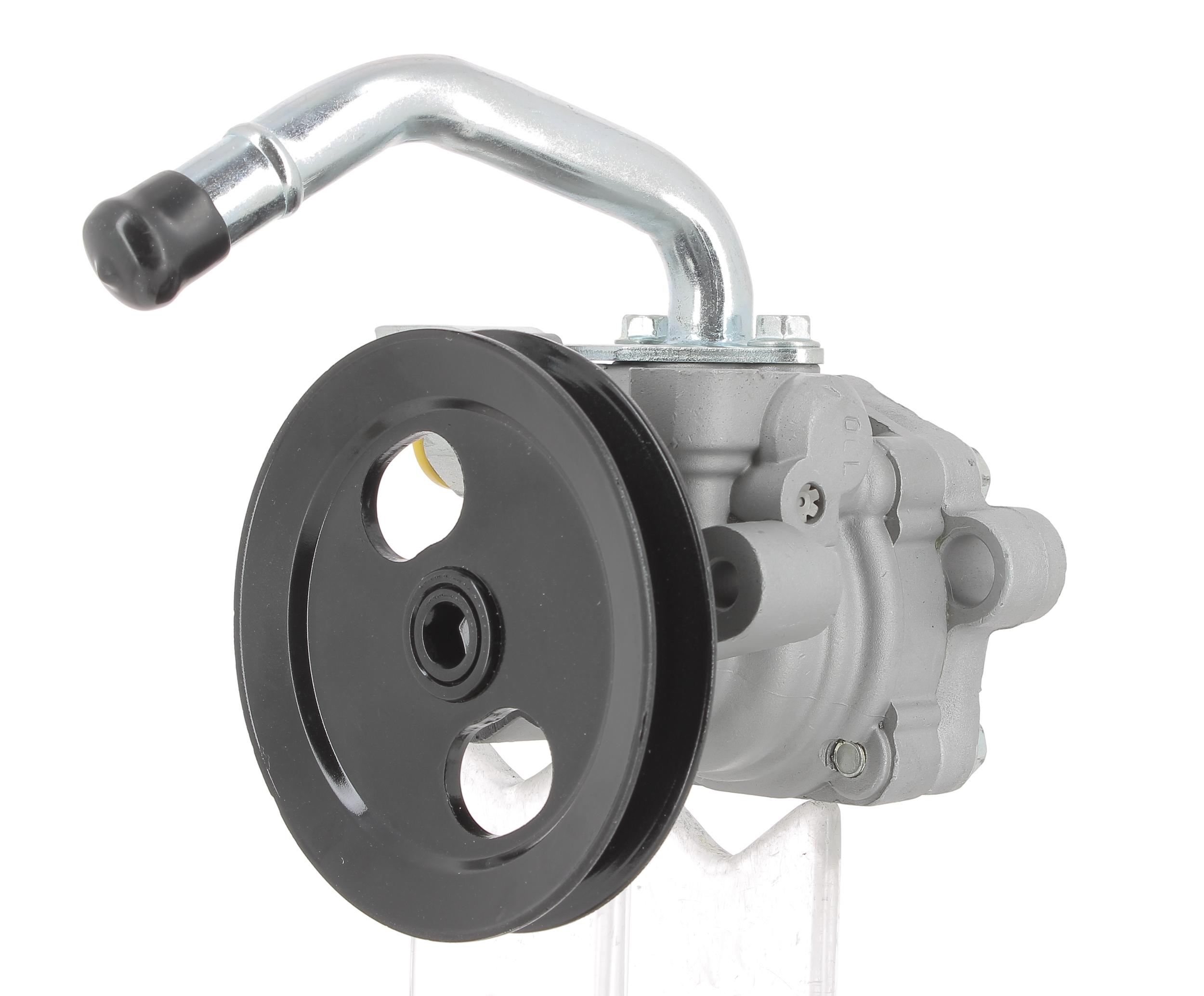 Hydraulic Pump, steering (135308)