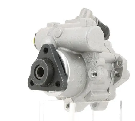 Hydraulic Pump, steering (130615)