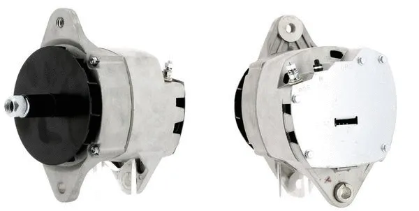 Alternator (2494)