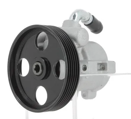 Hydraulic Pump, steering (130469)