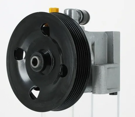 Hydraulic Pump, steering (135208)