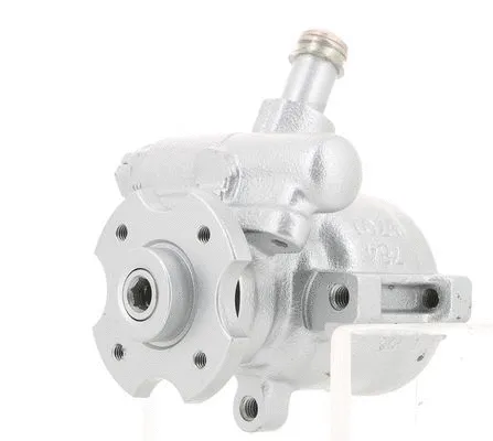 Hydraulic Pump, steering (130318)