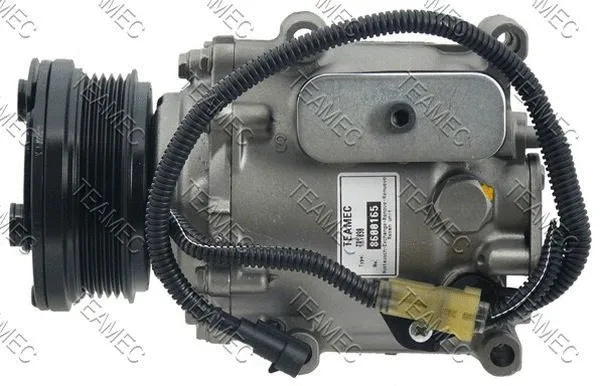 Compressor, air conditioning (8600165)