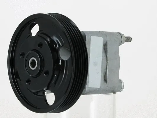 Hydraulic Pump, steering (135461)
