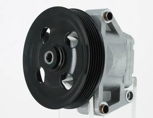 Hydraulic Pump, steering (135197)