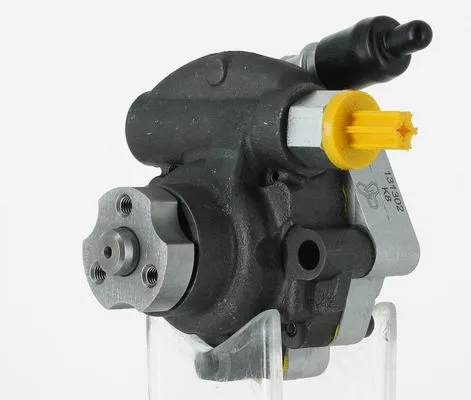 Hydraulic Pump, steering (131302)