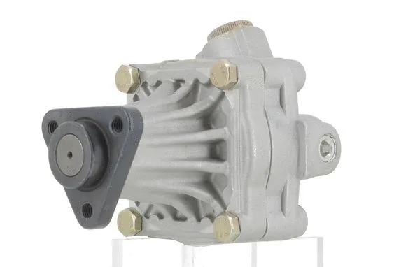 Hydraulic Pump, steering (130616)