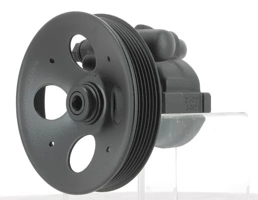 Hydraulic Pump, steering (130414)